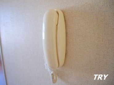 �y���̑��ݔ��z�@�C���^�[�z��