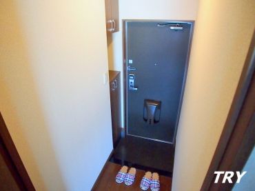 �y���ցz�@�����ʔ��t����