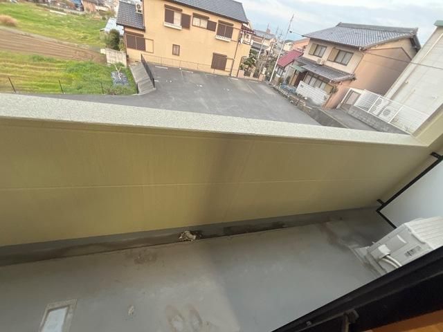 �y�o���R�j�[�z�@
