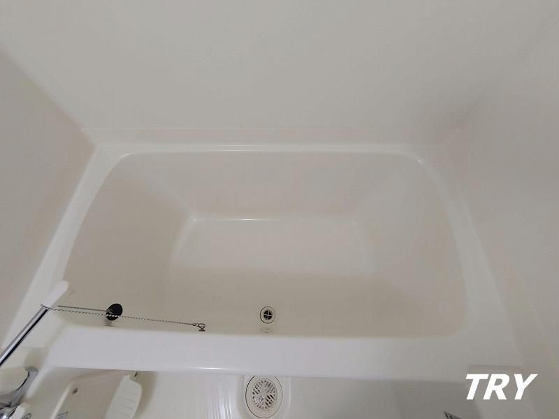 �y�o�X�z�@