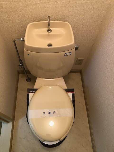 �y�g�C���z�@