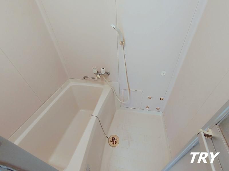 �y�o�X�z�@