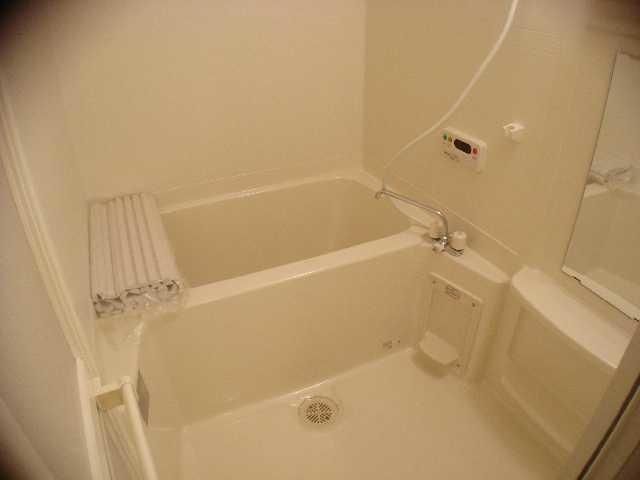 �y�o�X�z�@