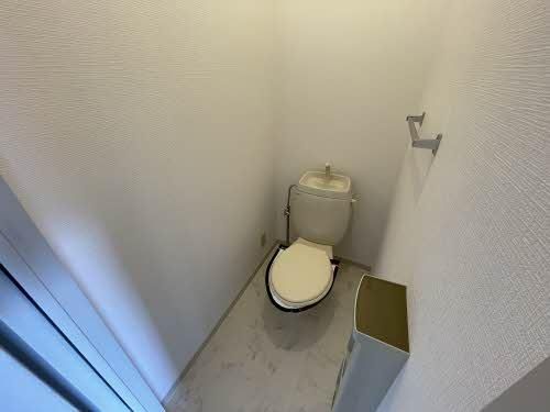 �y�g�C���z�@