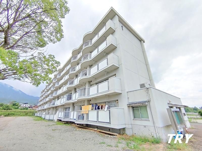 �y���̑����L�����z�@