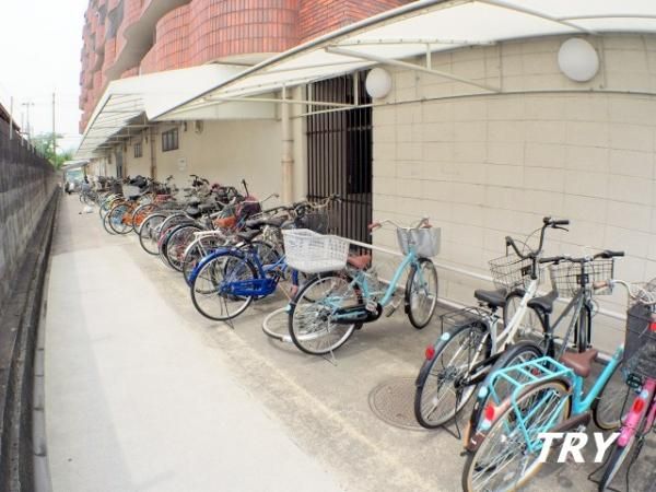 �y���̑����L�����z�@
