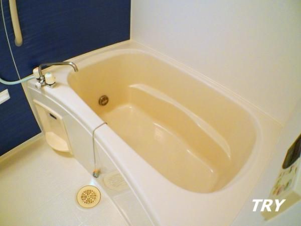 �y�o�X�z�@