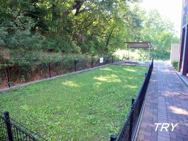 �y���̑����L�����z�@