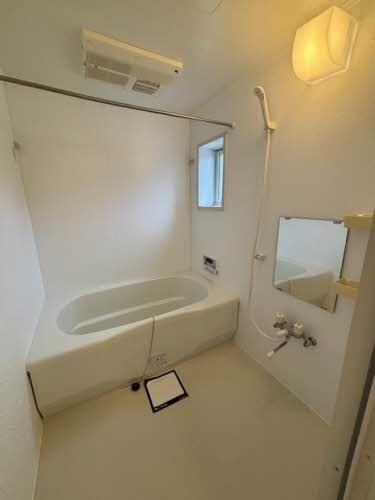 �y�o�X�z�@