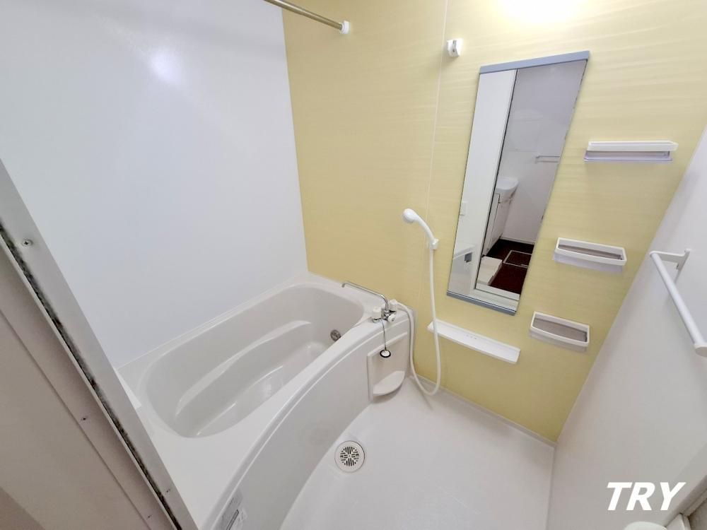 �y�o�X�z�@