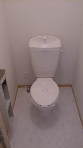 �y�g�C���z�@