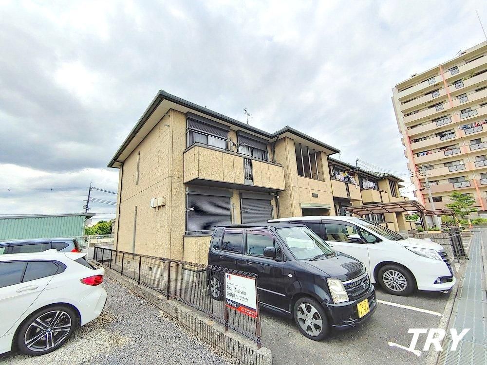 �y���̑����L�����z�@