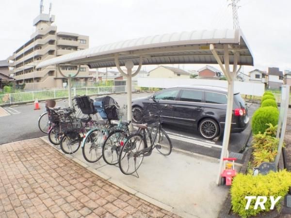 �y���̑����L�����z�@