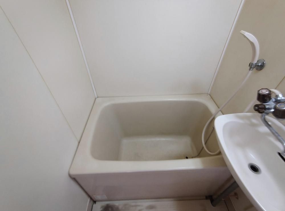 �y�o�X�z�@