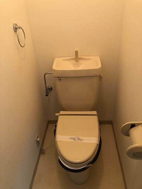 �y�g�C���z�@