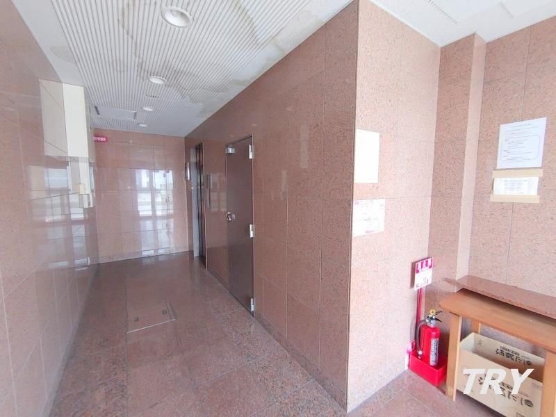 �y���r�[�z�@