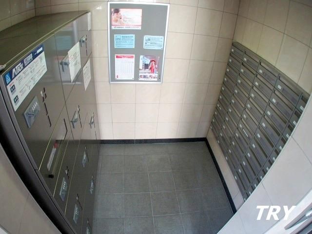 �y���̑����L�����z�@