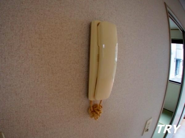 �y���̑��ݔ��z�@�C���^�[�z��